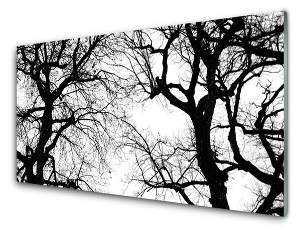 Obraz Szklany Drzewa Natura Czarno-Biały