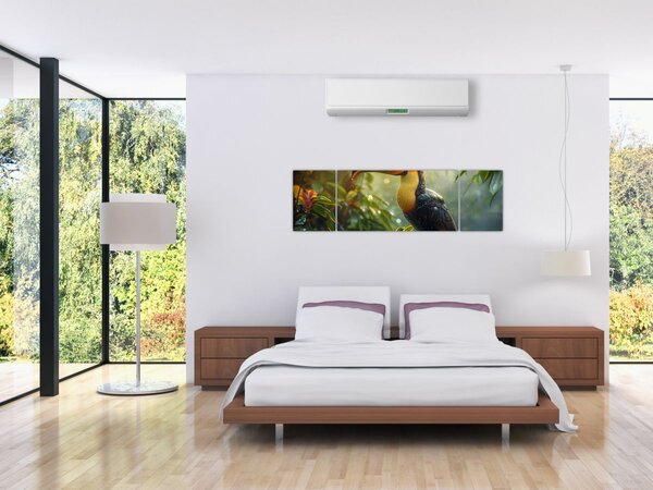 Obraz - Tukan (170x50 cm)