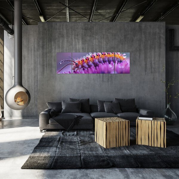 Obraz - Caterpillar (170x50 cm)