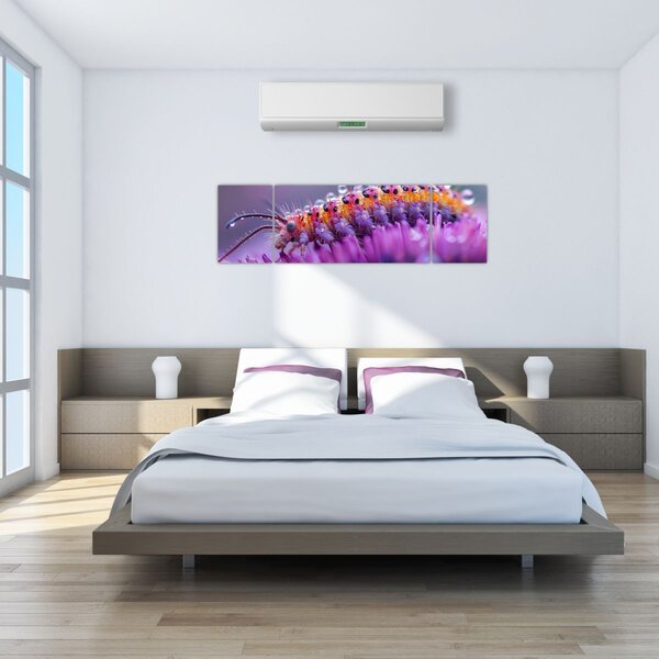 Obraz - Caterpillar (170x50 cm)
