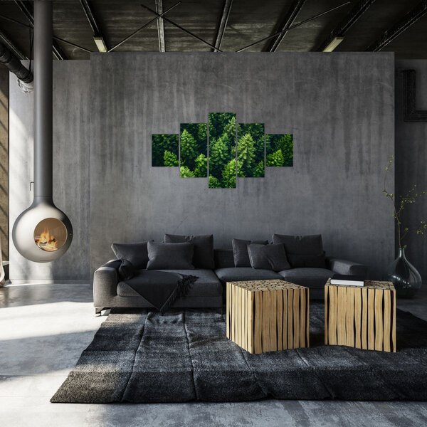 Obraz - Las (125x70 cm)