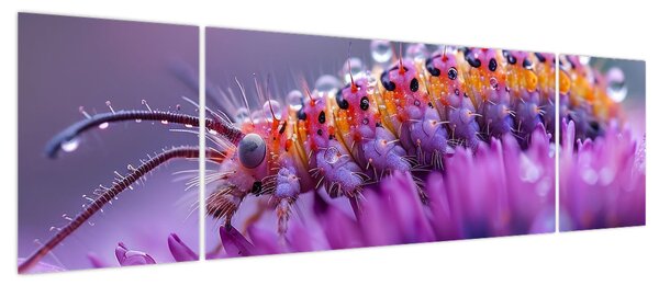 Obraz - Caterpillar (170x50 cm)