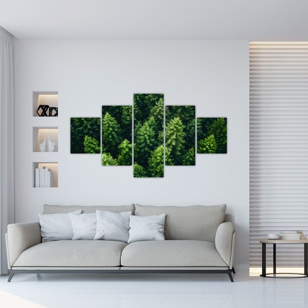 Obraz - Las (125x70 cm)