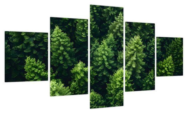 Obraz - Las (125x70 cm)