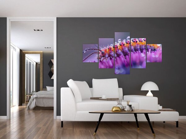 Obraz - Caterpillar (125x70 cm)