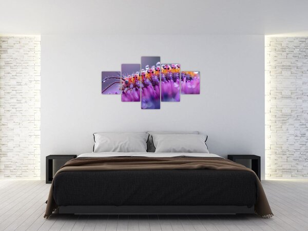 Obraz - Caterpillar (125x70 cm)