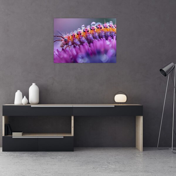 Obraz - Caterpillar (70x50 cm)