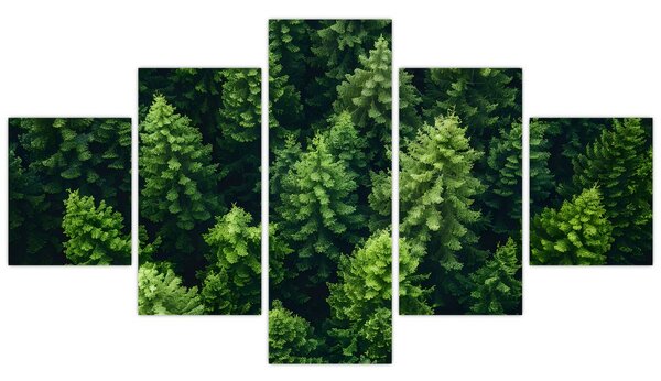 Obraz - Las (125x70 cm)