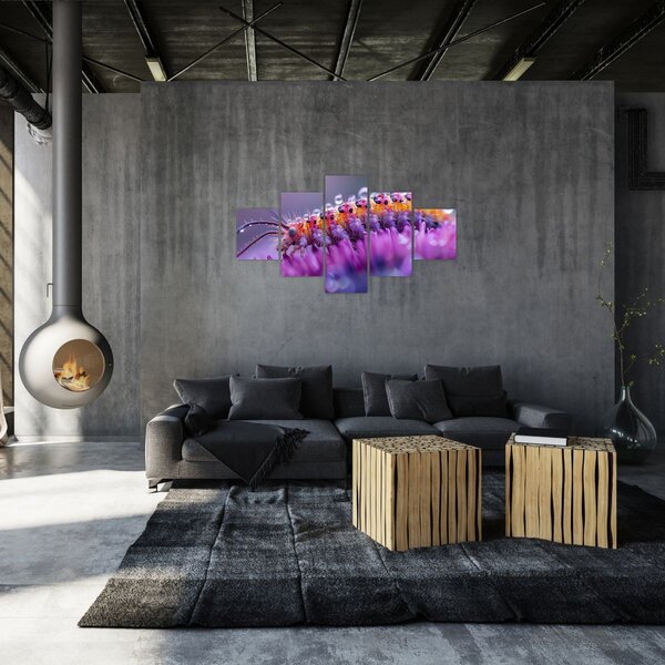 Obraz - Caterpillar (125x70 cm)