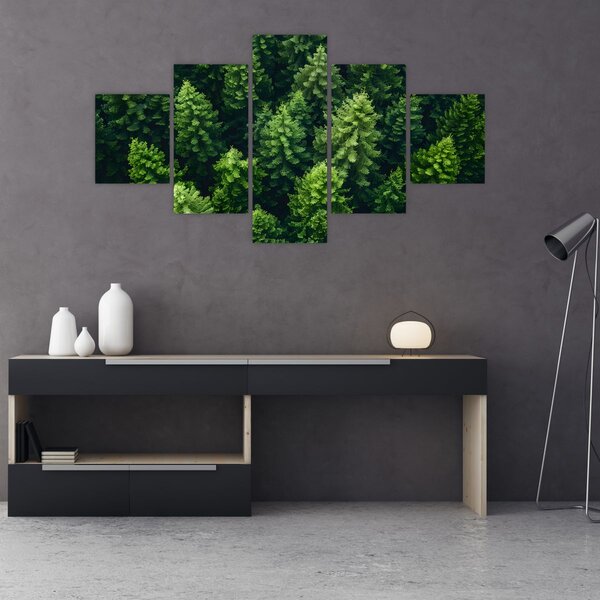 Obraz - Las (125x70 cm)