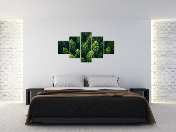Obraz - Las (125x70 cm)