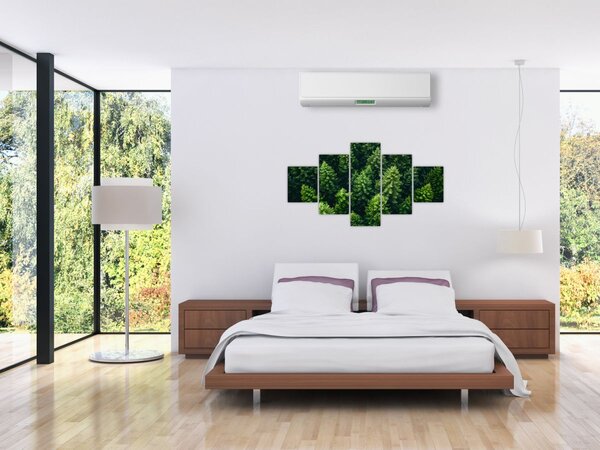 Obraz - Las (125x70 cm)