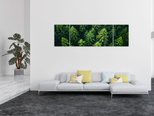 Obraz - Las (170x50 cm)