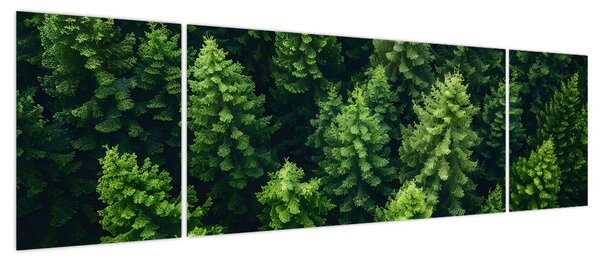 Obraz - Las (170x50 cm)