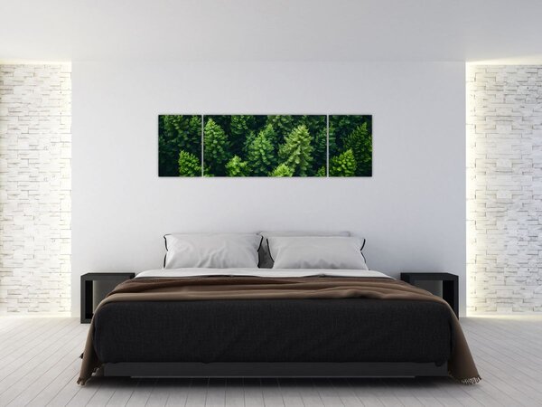 Obraz - Las (170x50 cm)