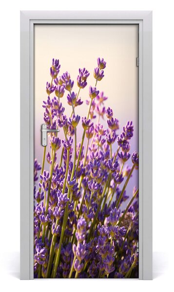 Okleina Naklejka fototapeta na drzwi Lawenda