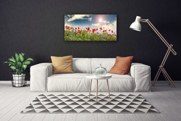 Obraz canvas Letnia Łąka w Blasku Dnia