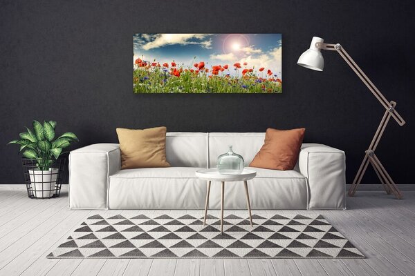 Obraz canvas Letnia Łąka w Blasku Dnia