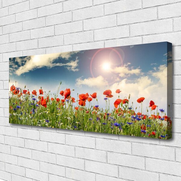 Obraz canvas Letnia Łąka w Blasku Dnia