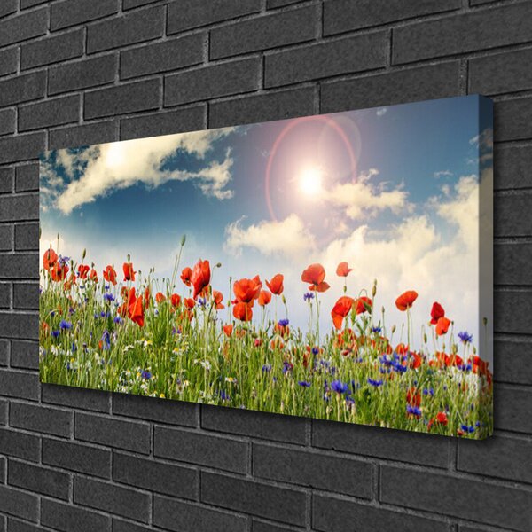 Obraz canvas Letnia Łąka w Blasku Dnia