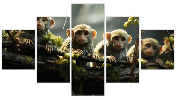Obraz - Małpy (125x70 cm)