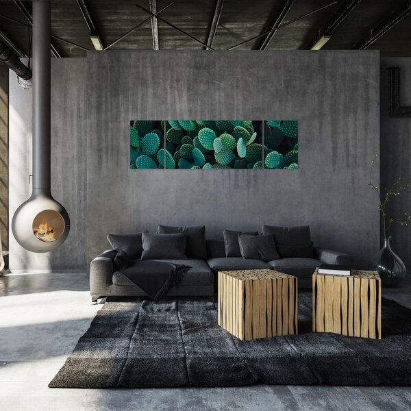 Obraz - Opuncja (170x50 cm)