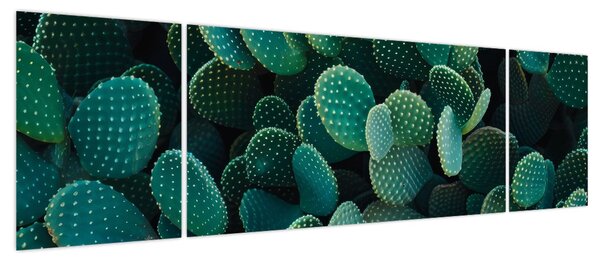Obraz - Opuncja (170x50 cm)