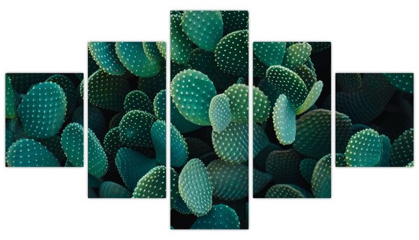 Obraz - Opuncja (125x70 cm)