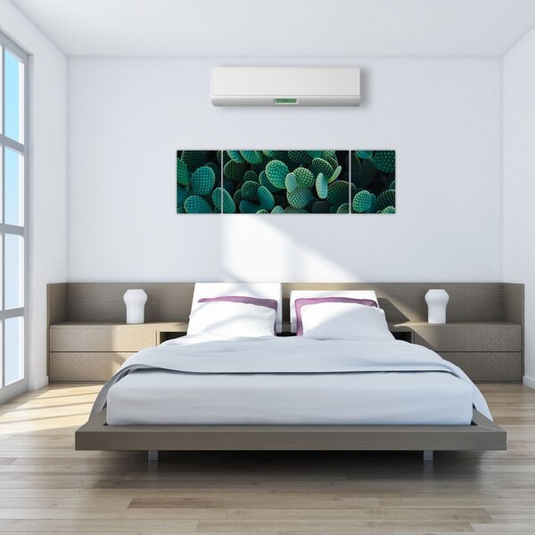 Obraz - Opuncja (170x50 cm)