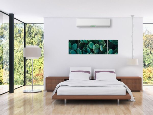 Obraz - Opuncja (170x50 cm)