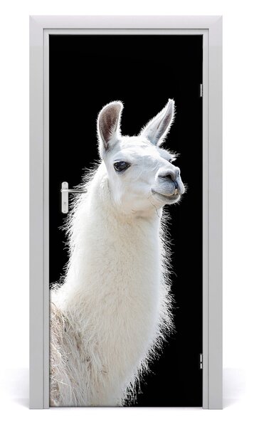 Fototapeta samoprzylepna na drzwi Biała lama