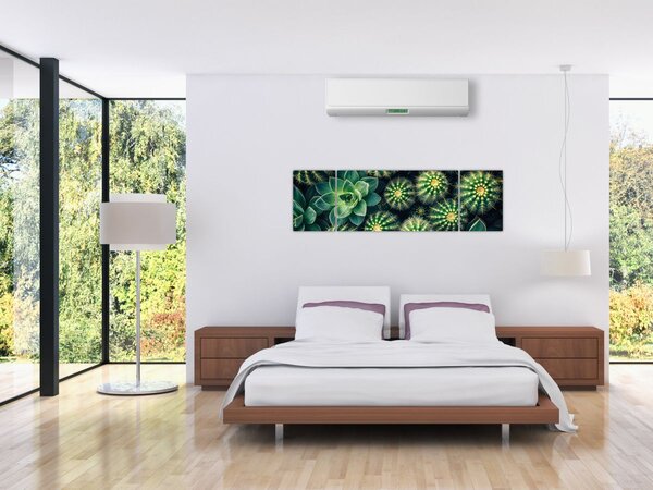 Obraz - Kaktusy (170x50 cm)