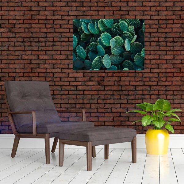 Obraz - Opuncja (70x50 cm)