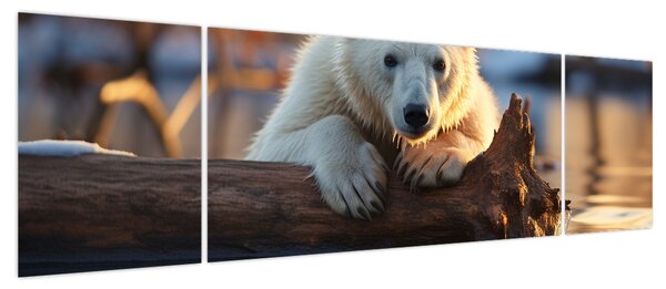 Obraz - Niedźwiedź polarny (170x50 cm)