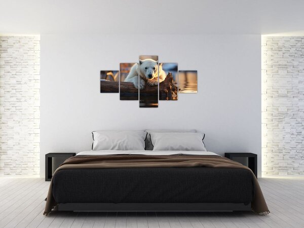 Obraz - Niedźwiedź polarny (125x70 cm)