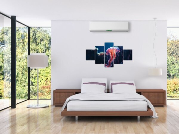 Obraz - Meduza (125x70 cm)