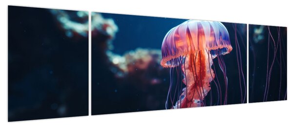 Obraz - Meduza (170x50 cm)