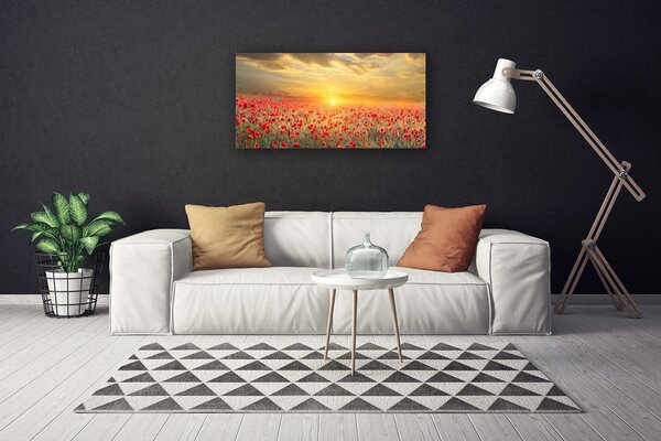 Obraz canvas Maki w Południowym Słońcu