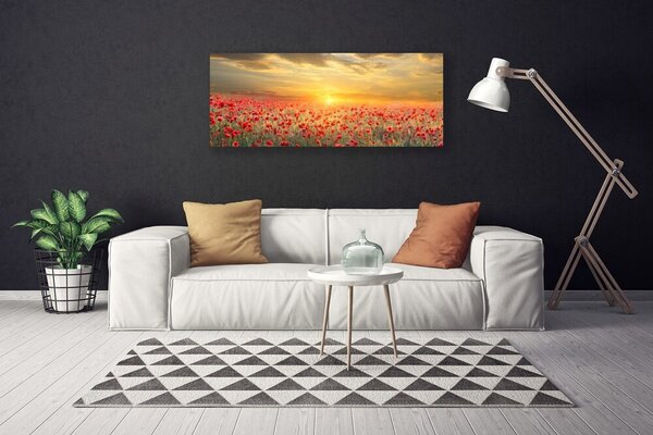Obraz canvas Maki w Południowym Słońcu