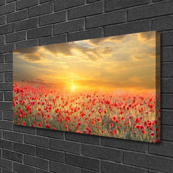 Obraz canvas Maki w Południowym Słońcu