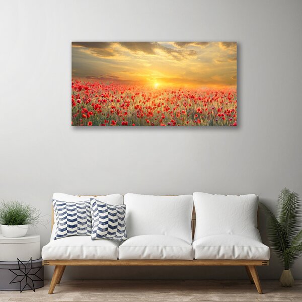 Obraz canvas Maki w Południowym Słońcu