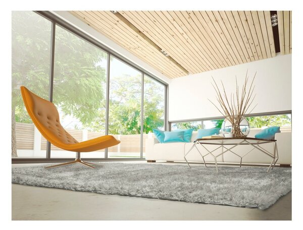 Szary dywan Universal Aloe Liso, 120x170 cm