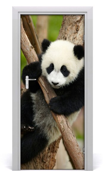 Naklejka samoprzylepna na drzwi Panda na drzewie