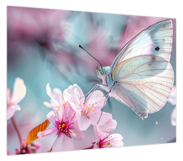 Obraz - Motyl na drzewie wiśni (70x50 cm)