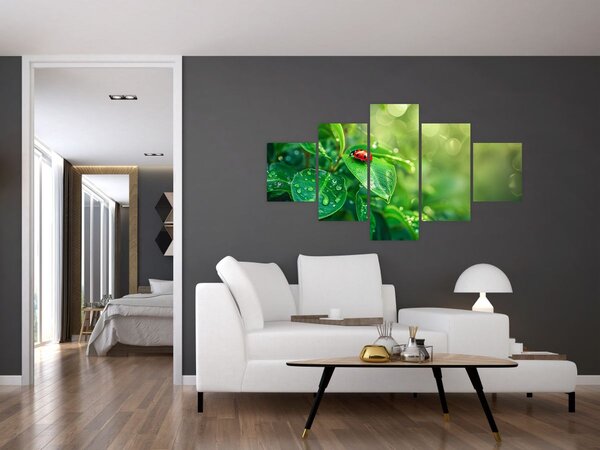 Obraz - Biedronka (125x70 cm)