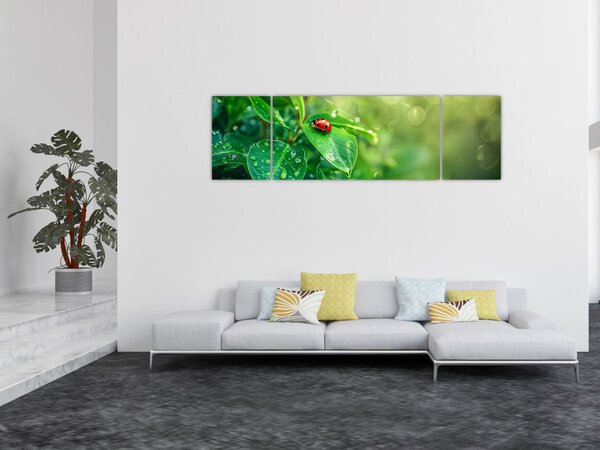 Obraz - Biedronka (170x50 cm)