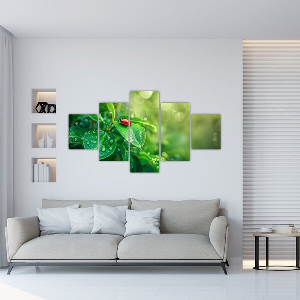 Obraz - Biedronka (125x70 cm)