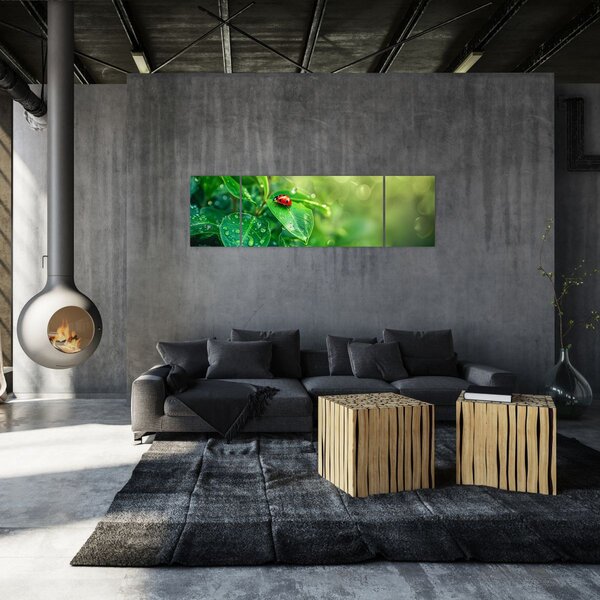 Obraz - Biedronka (170x50 cm)