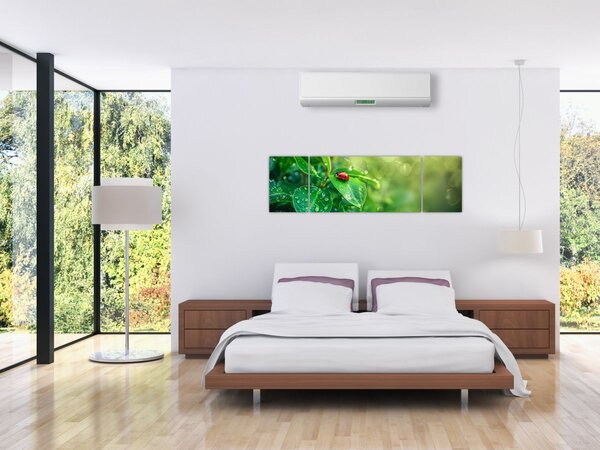 Obraz - Biedronka (170x50 cm)