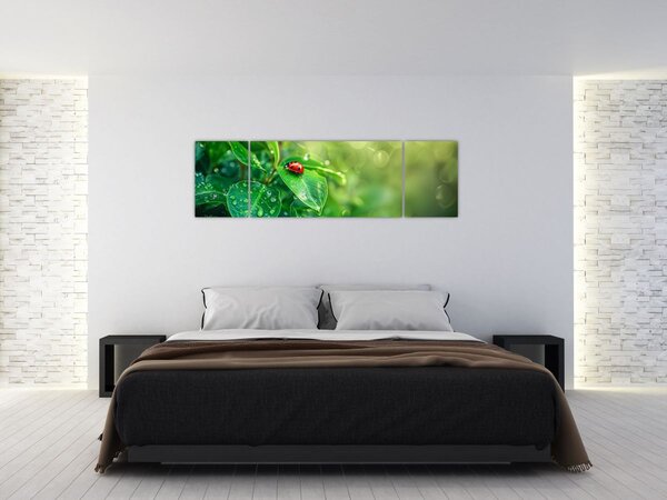 Obraz - Biedronka (170x50 cm)